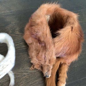 1 Vintage mink ( Sable ) pelt   1940
